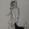 TheFurryGuide