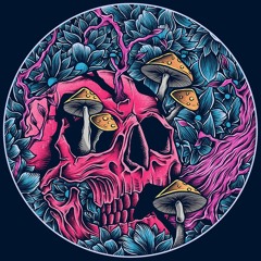 El Garci!