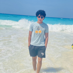 Amr Mohamed Rashad