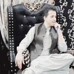 ali shan