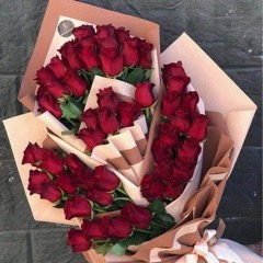 mai ali