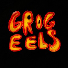Grog Eels