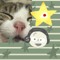 im amazingNoe