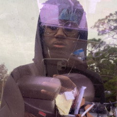vsleek