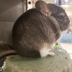 yearning for 8 years ago