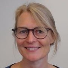 skjold, sværd og hest