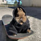 vikktoo_3