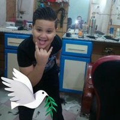 Mohamed Sharkawi