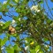 The Butterfly Room