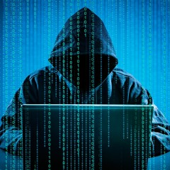 Stream Puppy Dog Bouncing In A Box Like Thisssss By Haiden Bradford Listen Online For Free On Soundcloud