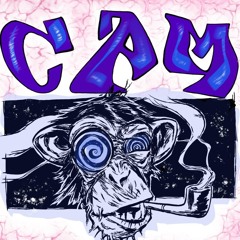 Cam_music
