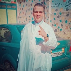 محمد فوزي الشرقاوى