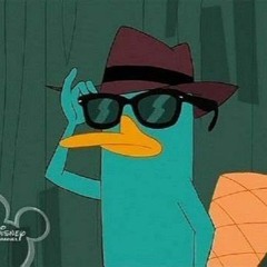 soloplayeswagger