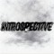 INTROSPECT7VE