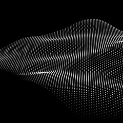 Orca Silent