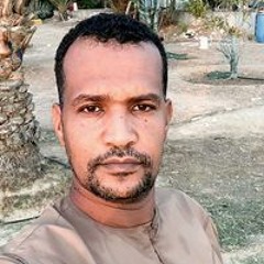 Mohammed Mokhtar