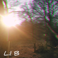 Lil B