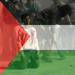 Hamed Mahmoud