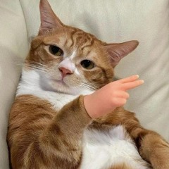 mr_pumpernickel