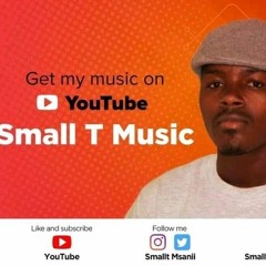 Small t Music