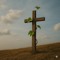 InTheVine