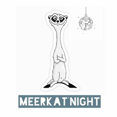 meerkat'night
