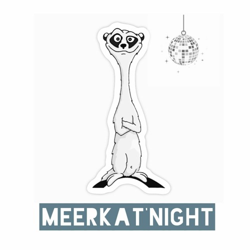 meerkat'night’s avatar