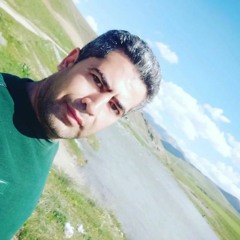 AZIZ WAISI 2005