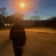 Levı