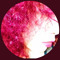 User 208331506