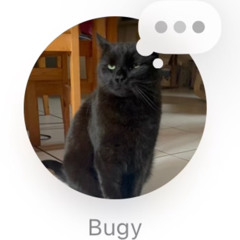 bbbbuuuugggyyyy