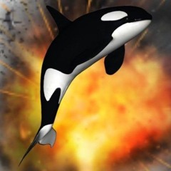 rShxky