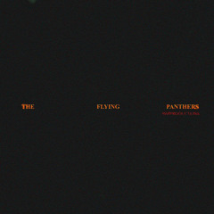 The Flying Panthers