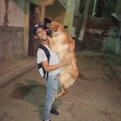 adham morad