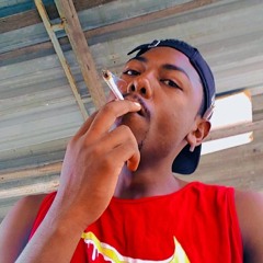 SEM PATRÃO 🇧🇷