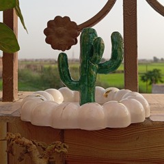 صُبَّيْر🌵