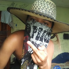 paleta