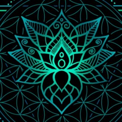 star fearia