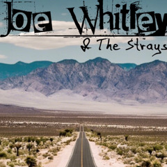 Joe Whitley & The Strays