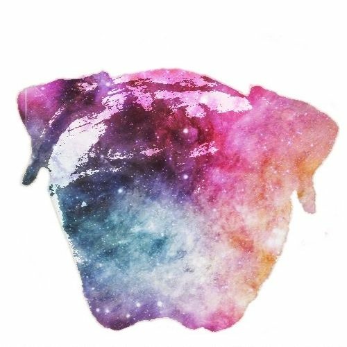Stellar Music’s avatar