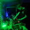 DjSchieferkiefer