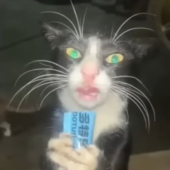 VGA