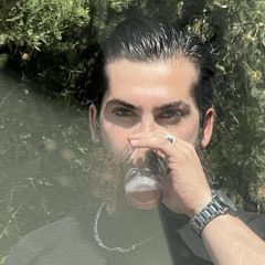 Erfan Hakimi