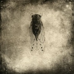 “Underrated emo” albums/bands - 4