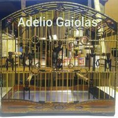 Adelio Pinheiro