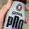 Gian Flavio