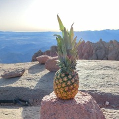 Motaz Bellah Mohamed