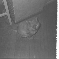 Osmol