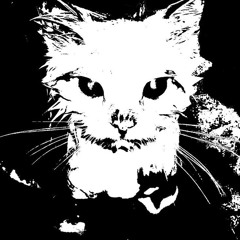 sǝʎǝɥʇoɓʎɯuısɹɐǝʇ