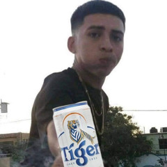 Long Pro